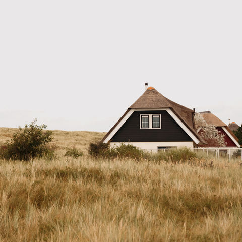 house in field, the netherlands