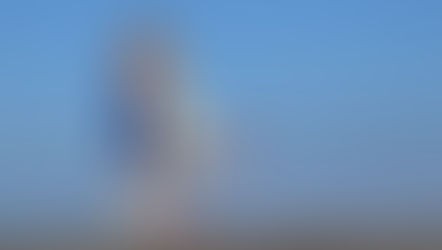 Women posing together