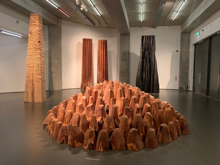 David Nash