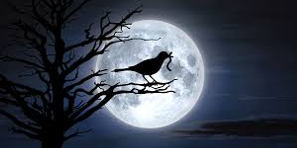 Full “Worm” Moon Ceremony and Virtual Song & Drum Circle