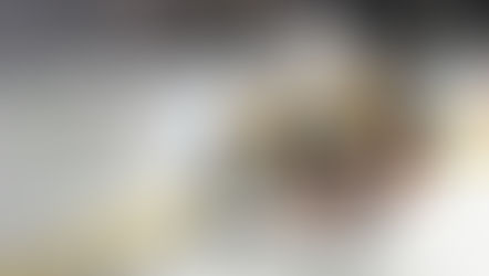 Selon Engels, Petry pourrait partir