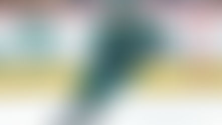 Matt Dumba en Arizona