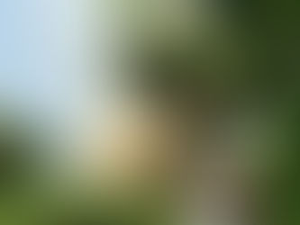 Tihuatlán: "QUEMA DE PASTIZAL PROHIBIDO EN TIHUATLÁN"