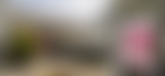Tihuatlan: "TIHUATLÁN SIN MUERTES MATERNAS"