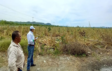 Tihuatlan: "PAGOS DEL “SEGURO AGRÍCOLA CATASTRÓFICO” SE CONCRETARÁN EN 2022 EN TIHUATLÁN"