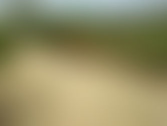 Tihuatlan: "PUEBLO VIEJO ESTRENA PAVIMENTACIÓN CON CONCRETO, EN TIHUATLÁN"