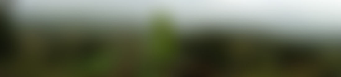 Tihuatlan Cultura: EL LUGAR MÁS ALTO DE TIHUATLÁN 