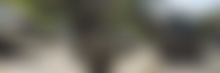 Tihuatlan: "EN TIHUATLÁN PIPEROS DESPERDICIAN EL AGUA; POR MANGUERAS Y CONEXIONES EN MAL ESTADO"