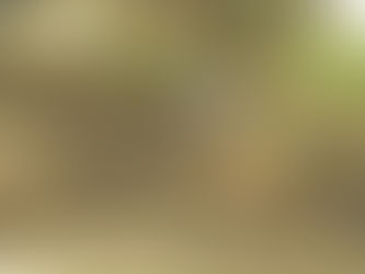 Tihuatlan: "DURO CONTROL EN CRIADEROS CLANDESTINOS EN TIHUATLÁN"