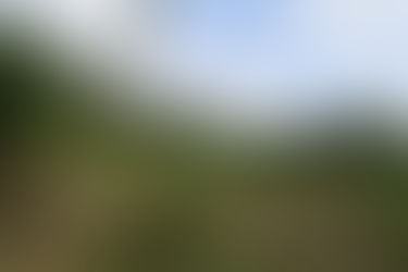 Tihuatlan: "A LA ESPERA DEL SEGURO AGRÍCOLA CATASTRÓFICO EN TIHUATLÁN"