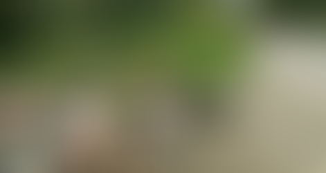 Tihuatlan: "NULA CULTURA DE RECICLAJE, GENERO EL AUMENTO DE BASUREROS CLANDESTINOS"