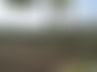 Tihuatlan: "AUMENTAN ROBOS EN ESCUELAS"