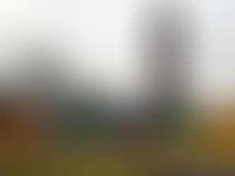 Tihuatlan: "TRIPLE RIESGO EN TIHUATLÁN POR CORONAVIRUS, DENGUE Y HEPATITIS"