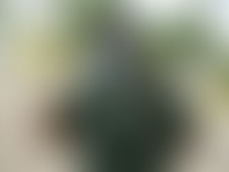 Tihuatlan: "ACTIVO CENTRO COMUNITARIO"