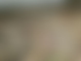 Tihuatlan: "SANEAN BASURERO MUNICIPAL EN TIHUATLÁN, EL RELLENO ESTÁ EN FUNCIONAMIENTO"