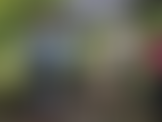 Tihuatlan: "IMPULSAN REFORESTACIÓN DE TIHUATLÁN"