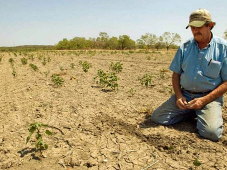 Tihuatlan: "EN TIHUATLÁN SON 1936 AFECTADOS; SEGURO CATASTRÓFICO SOLO CON CUENTA BANCARIA"