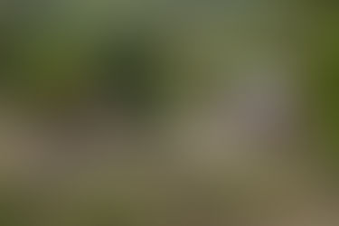 Tihuatlan: "UN OBJETIVO REGULARIZACIÓN DE PREDIOS EN COLONIAS DE TIHUATLÁN"