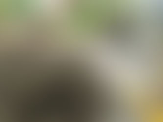 Tihuatlan: "FUGA DE AGUA DEJA SIN SERVICIO AMPLIO SECTOR DE TIHUATLÁN"