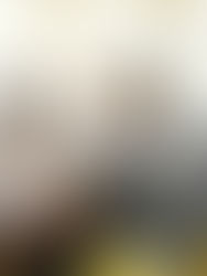 Tihuatlan: "INSTALAN CONSEJO MUNICIPAL DE PROTECCIÓN CIVIL POR TORMENTA TROPICAL KARL"