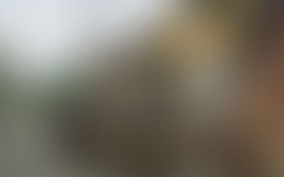 Tihuatlan: "HUACHICOLEAN EL AGUA"