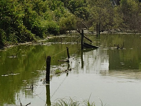 Tihuatlan: "FAMILIAS SE VEN AFECTADAS POR ACUMULAMIENTO DE AGUAS NEGRAS: TIHUATLÁN"