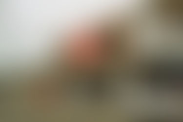 Tihuatlan: "BUEN CIERRE DE AÑO EN TIHUATLÁN"