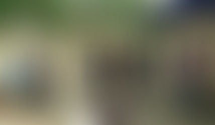 Tihuatlan: "PRODUCIRÁN BIOGÁS"