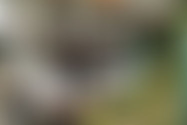 Tihuatlan: "ESTAFADORES RONDAN OFICINAS DE HACIENDA EN TIHUATLÁN"