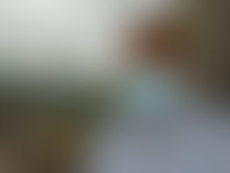 Tihuatlan: "ASIGNAN PARA SEGURIDAD DE TIHUATLÁN MÁS DE 4 MDP"