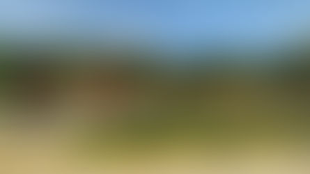 Tihuatlan: "SE NORMALIZAN CLASES PRESENCIALES"