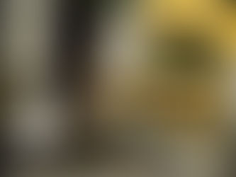 Tihuatlan: "LLEGAN COLCHONES A TIHUATLÁN PARA LOS DAMNIFICADOS POR ‘GRACE’"