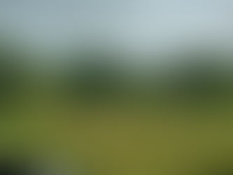 Tihuatlan: "CITRICULTORES TIHUATECOS PROMUEVEN CUIDADO E IMPORTANCIA DE LAS ABEJAS"