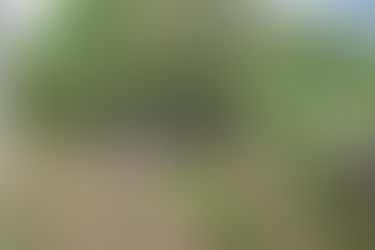 Tihuatlan: "EN VARIAS ZONAS DE TIHUATLÁN CONTINUA EL PROBLEMA UN CÁNCER INVASIÓN DE TIERRAS"