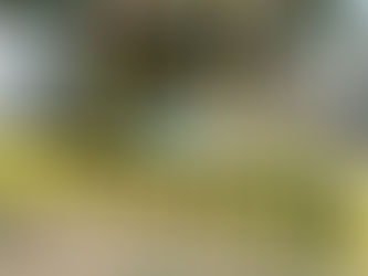 Tihuatlan: "HOMBRE MUERE EN PARADOR URBANO EN TIHUATLÁN"