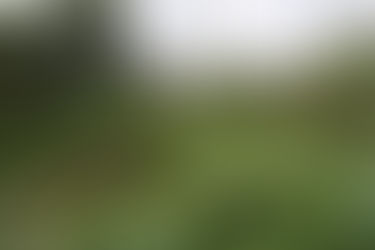 Tihuatlan: "DUCTOS DE PEMEX IMPIDEN PUENTE"