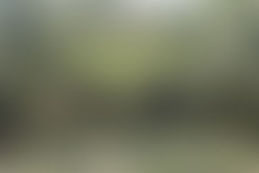 "SE BUSCA RESCATE DE LA RIQUEZA ARQUEOLÓGICA; EN TIHUATLÁN EXISTEN MÁS DE 50 MONTÍCULOS ABANDONADOS"