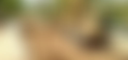 Tihuatlan: "OBRAS DE CALIDAD"