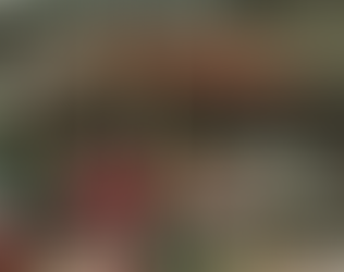 Tihuatlan: "TIANGUISTAS SE INSTALAN EN CÉNTRICOS PREDIOS BALDÍOS"