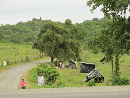 Tihuatlan: "COVID NO DETIENE INVASIÓN"