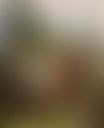 Tihuatlán Veracruz y sus tradiciones…. Xantolo 2022