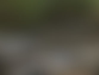 Tihuatlan: "BASUREROS CLANDESTINOS, DIFÍCIL DE ERRADICAR"