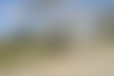 Tihuatlan: "ALISTAN PROGRAMA DE DESCACHARRIZACIÓN EN TIHUATLÁN"