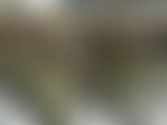 Tihuatlán: "TRABAJAN PARA INTEGRAR POLICÍAS MILITARES EN TIHUATLÁN"