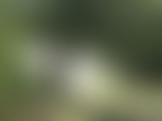 "FAMILIAS RETAN AL CORONAVIRUS"