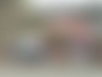 Tihuatlan: "EN TIHUATLÁN, REUBICARÁN A VENDEDORES DE PINOS DE NAVIDAD"