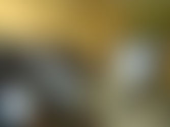 Tihuatlan: "EN ESCUELAS DE TIHUATLÁN REFORZARÁN ACCIONES PARA PREVENIR COVID"