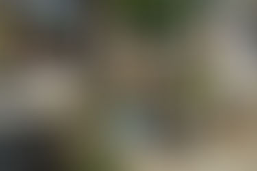 POBLACIÓN SIGUE SIN ACATAR DISPOSICIONES EN EL PANTEÓN MUNICIPAL DE TIHUATLÁN PARA EVITAR EL DENGUE