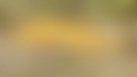 Tihuatlan: "NARANJA YA NO DEJA GANANCIAS"