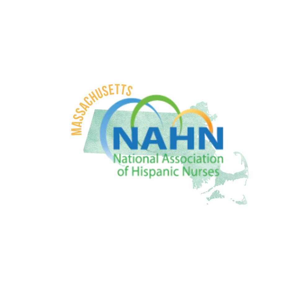 NAHN Logo no background.png